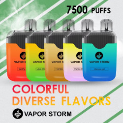 正品 風暴一次性電子煙 Vapor Storm一次性電子煙7500口